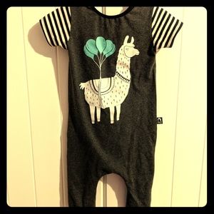 Party Llama Rags to Raches